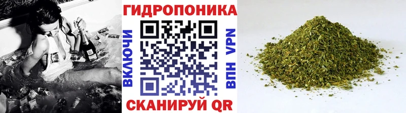 Купить  Белоозёрский  Каннабис гибрид 
